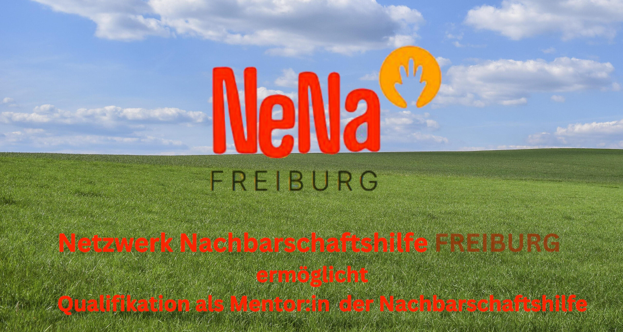 Training als Mentor:in