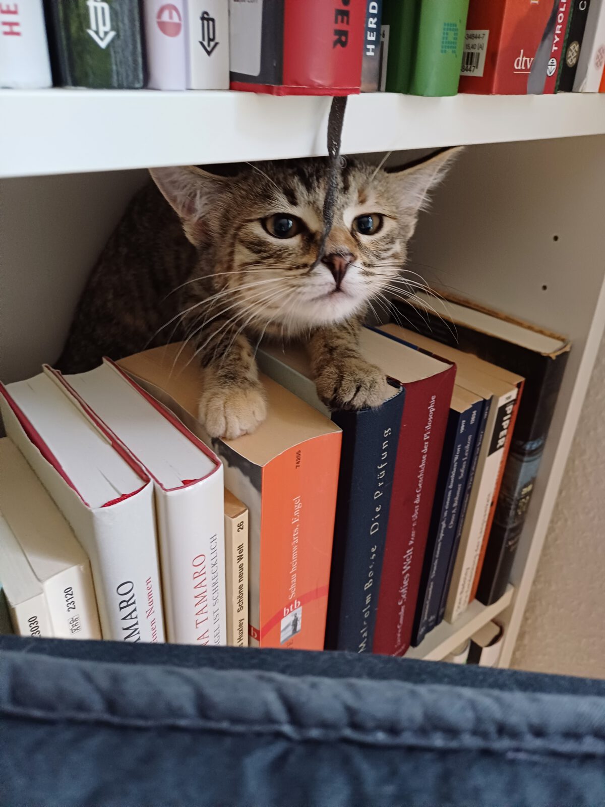 Silent reading
