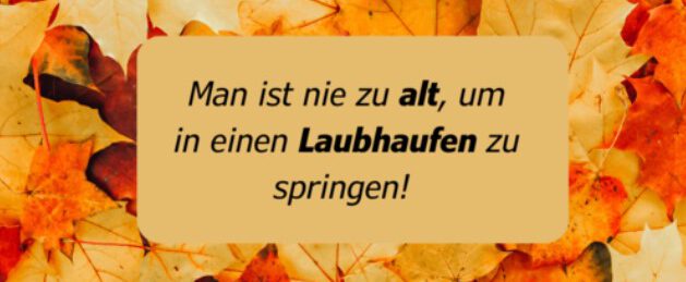 September 2025 Laubhaufen DNA-Die Neuen Alten