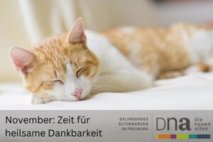 header_November_2025