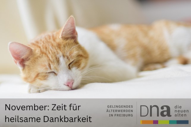 header_November_2025