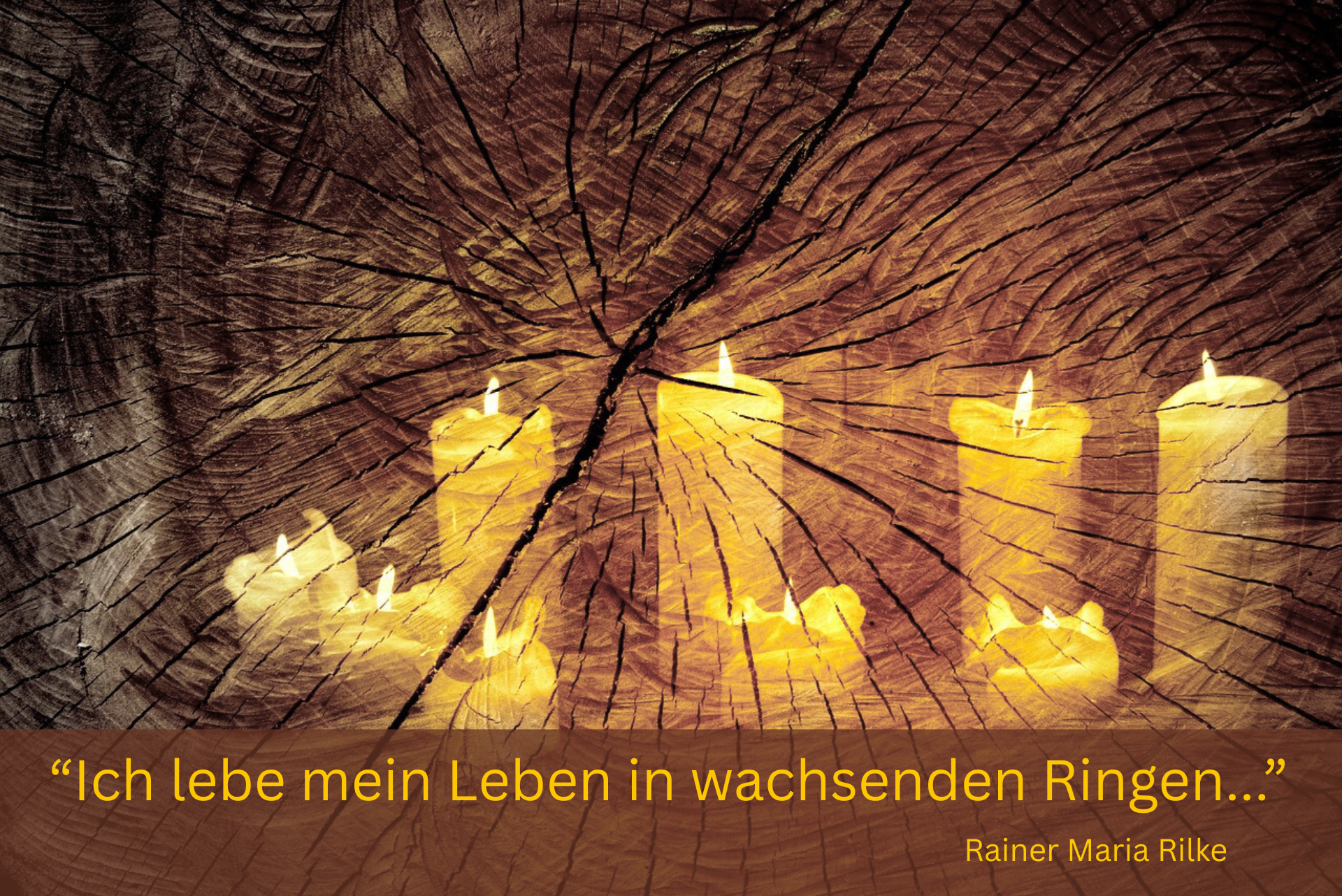 Dezember Rundbrief SAGES