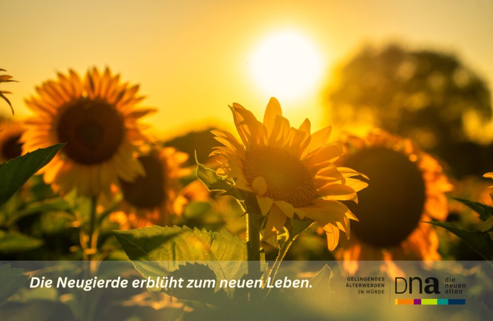 Mai newsletter_Header
