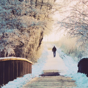 Screenshot 2026-03-05 134837